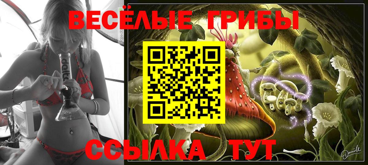 Заречный  Псилоцибиновые грибы прущие грибы  Вход с VPN  Галлюциногенные грибы мухоморы 